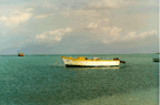 boat in Aruba